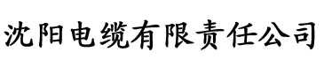 91视屏iOS电缆厂logo